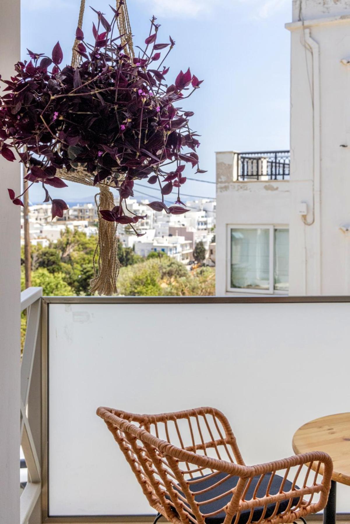 Raffar Luxury Houses Tínos エクステリア 写真